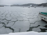 海面の雪.JPG