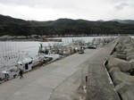 臼尻港.JPG