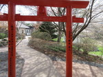 鳥居の裏.JPG